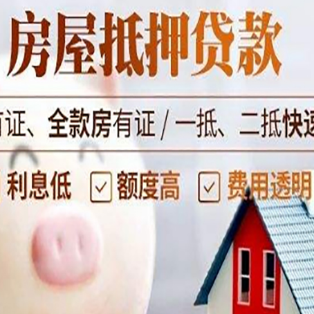 梁子湖贷款助贷公司新渝启服成立时间久